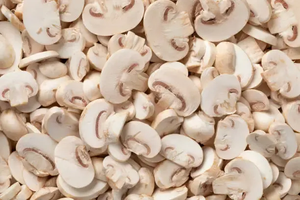 hongos-champiscap